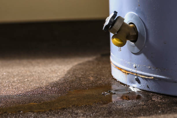 Best Basement water damage restoration  in Mount Prospect, IL