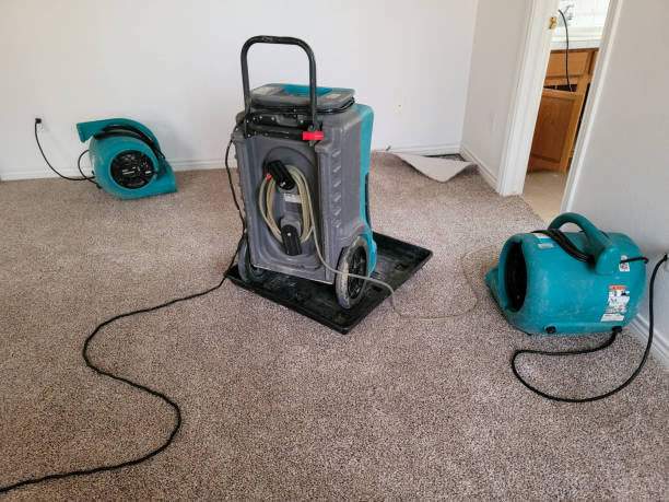 Best 24/7 water damage repair  in Mount Prospect, IL