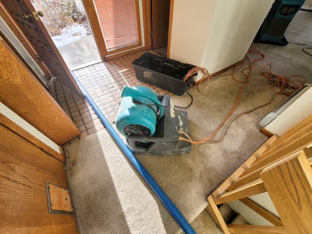 Water damage restoration insurance claims in Mount Prospect, IL