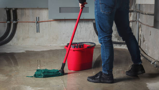 Best Basement water damage restoration  in Mount Prospect, IL