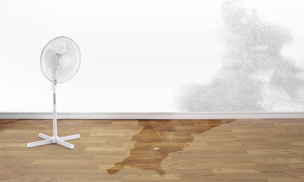 Best Commercial water damage restoration  in Mount Prospect, IL
