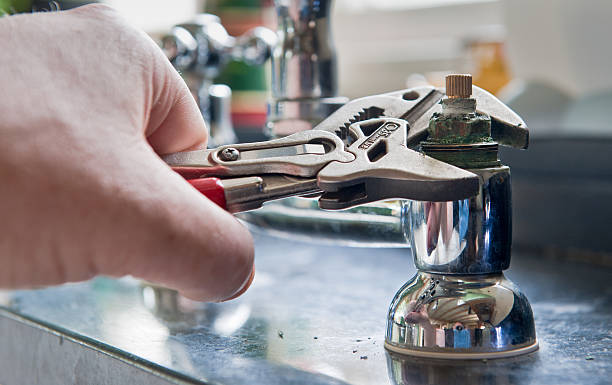 Best Mold removal after water damage  in Mount Prospect, IL