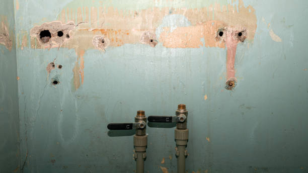 Best Water damage restoration cost  in Mount Prospect, IL